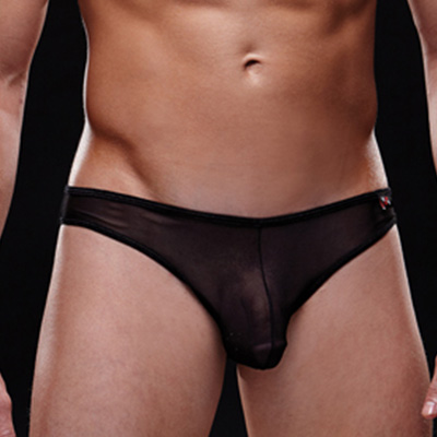 Envy Logo Mesh Brief Black Main - Aphrodite's Pleasure