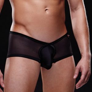 Envy Logo Mesh Trunk Black Main - Aphrodite's Pleasure