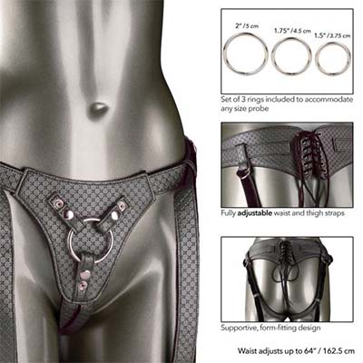 The Regal Queen Harness - Aphrodite's Pleasure